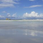 DIANI