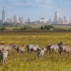 Nairobi National Park 6