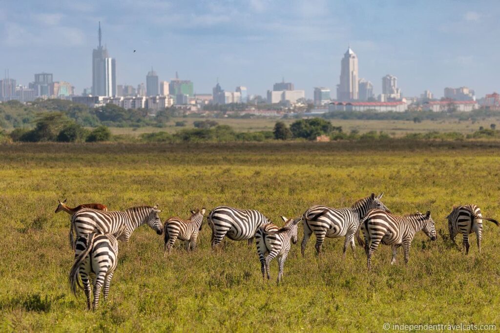 Nairobi National Park 6