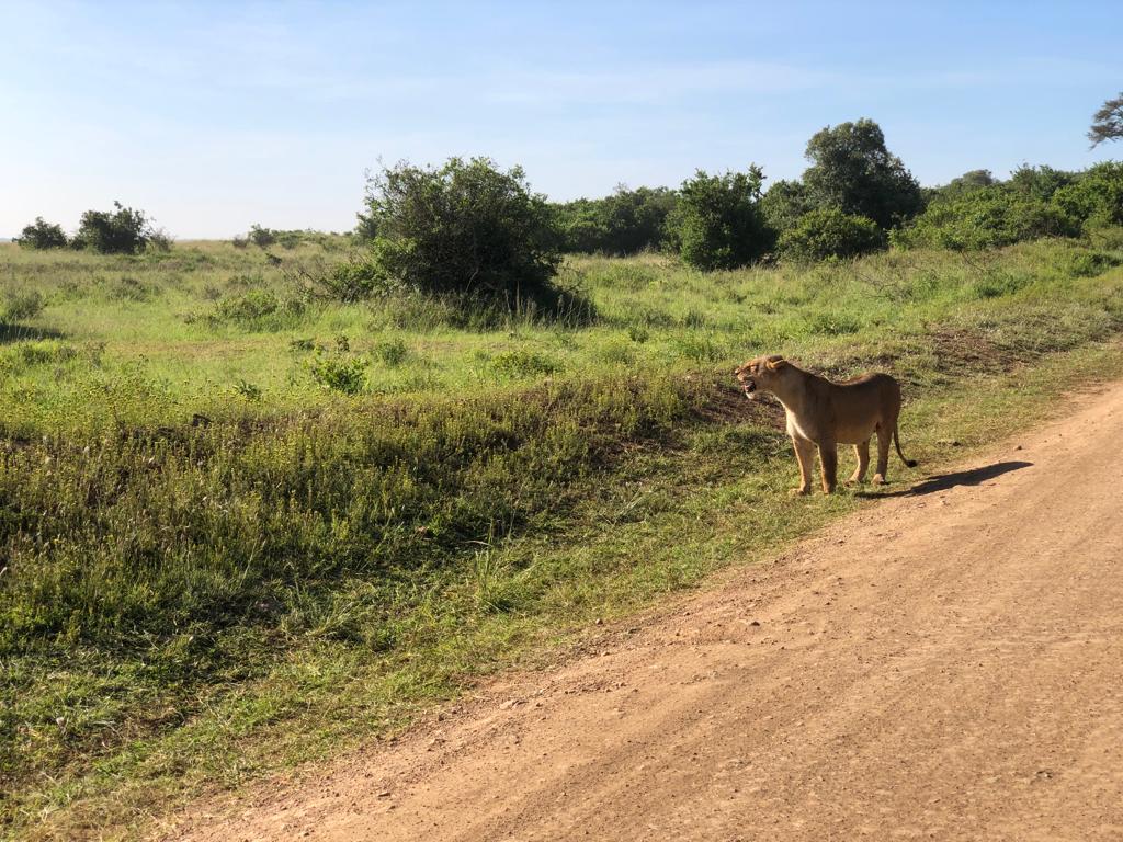 WhatsApp Image 2024 02 25 at 10.01.36 PM 1