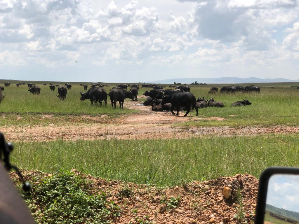 WhatsApp Image 2024 02 25 at 9.41.11 PM 2