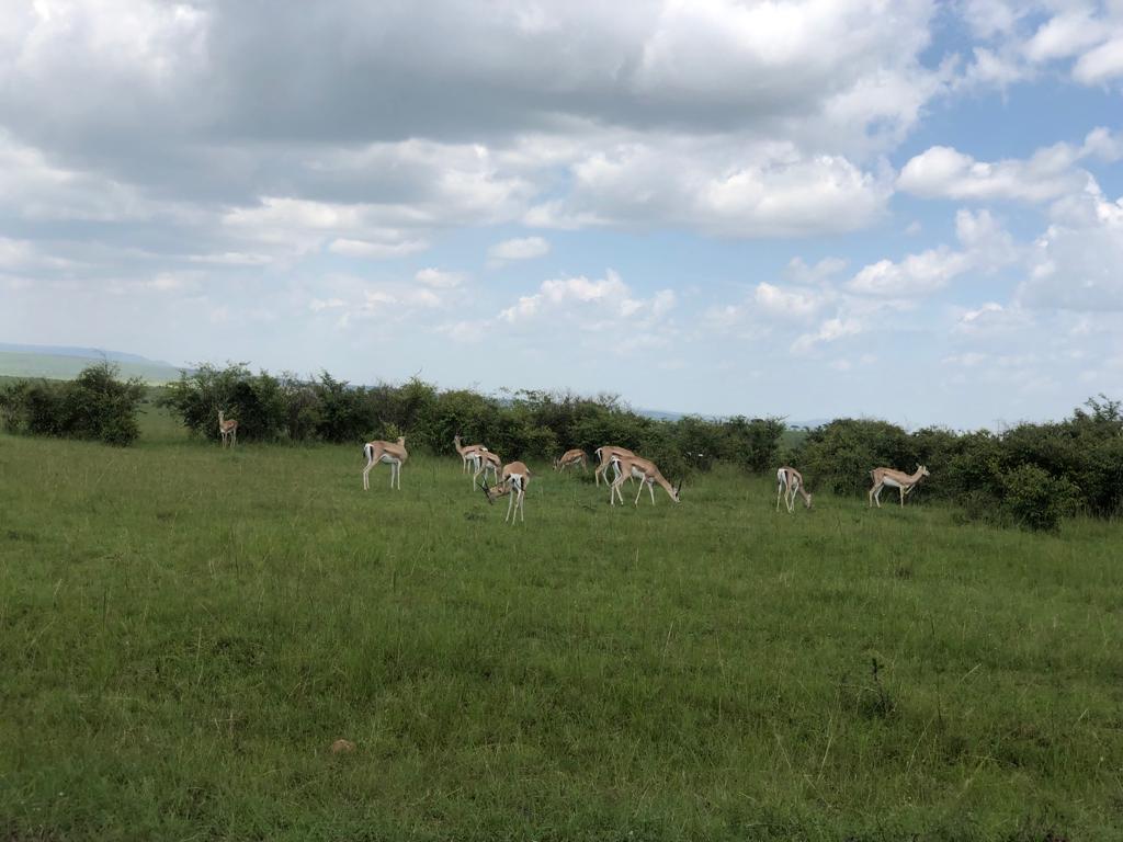 WhatsApp Image 2024 02 25 at 9.41.11 PM 8